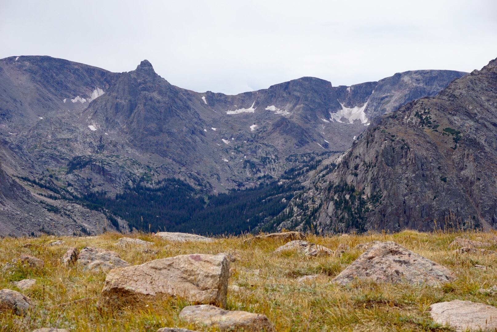 The Happy Outing - RMNP 100th Anniversary